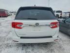 2020 Honda Odyssey exl