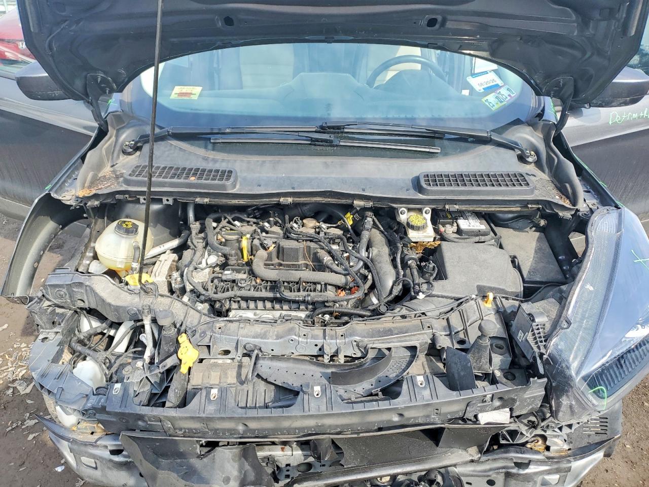 2019 Ford Escape sel