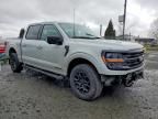 2024 Ford F150 xlt