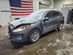 Ford salvage cars for sale: 2022 Ford Escape se
