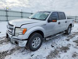 2014 Ford F150 Supercrew for sale in Cahokia Heights, IL