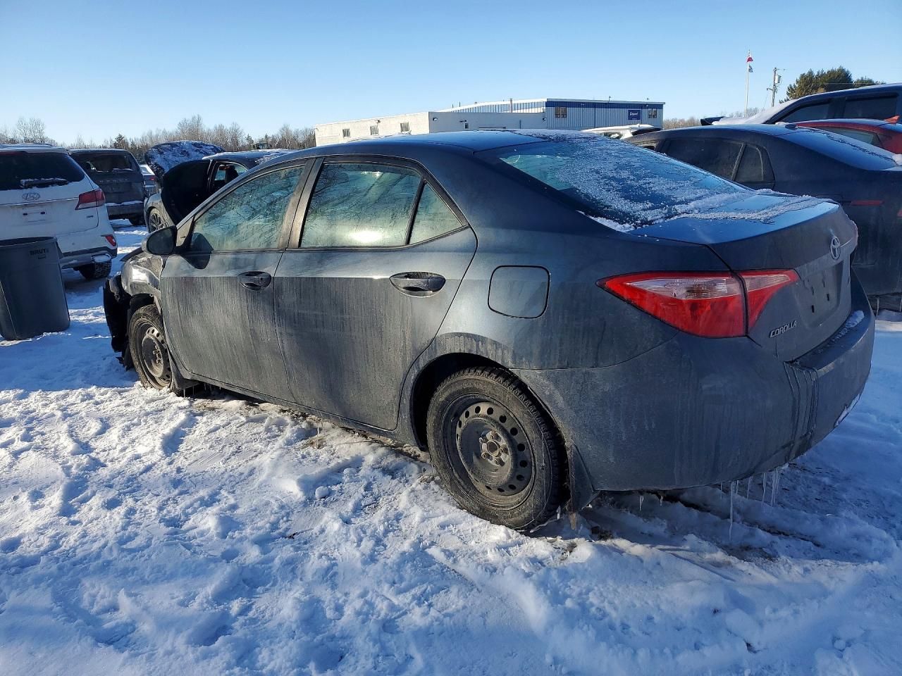 2019 Toyota Corolla l