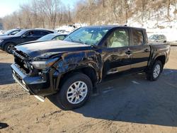 Salvage cars for sale from Copart Marlboro, NY: 2024 Toyota Tacoma Double cab