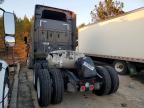 2024 Freigliner 2024 Freightliner Cascadia 116 Semi Truck