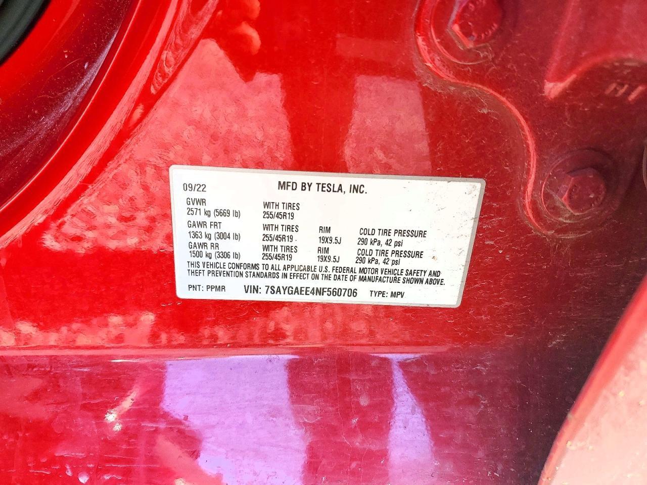 2022 Tesla Model y