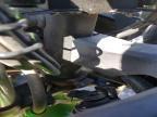 2024 Kawasaki EX650 P