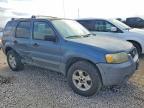 2005 Ford Escape xlt