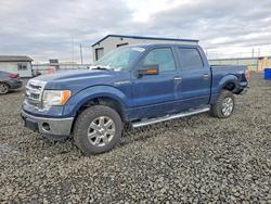 Salvage trucks for sale at Airway Heights, WA auction: 2013 Ford F150 Supercrew