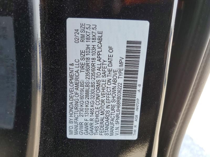 2024 Honda Odyssey exl