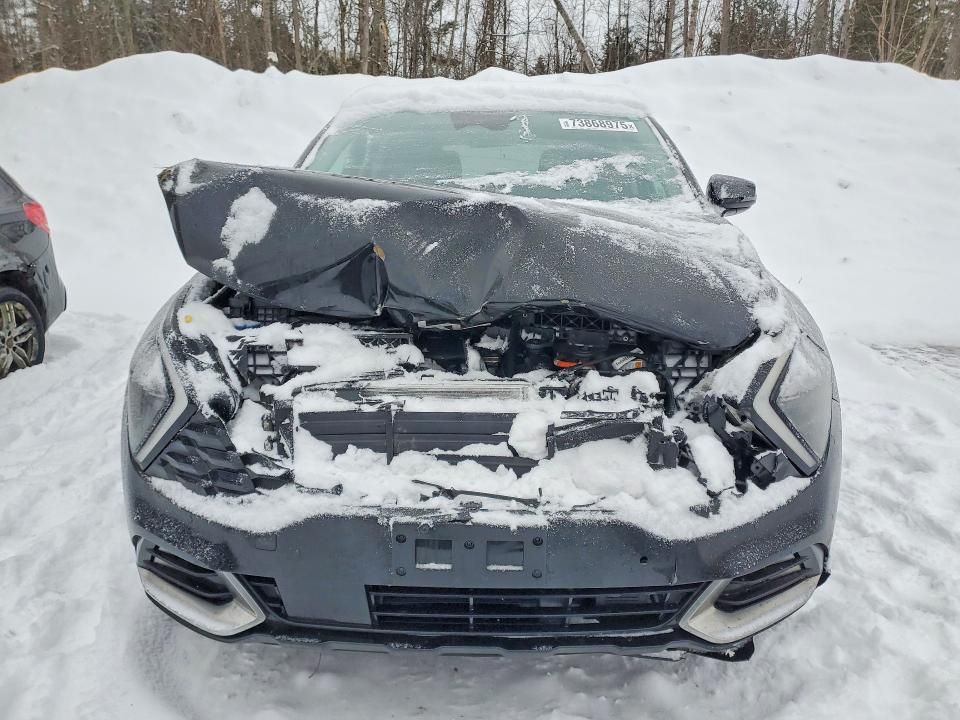 2024 KIA Sportage ex Premium