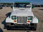 1995 Jeep Wrangler / yj s