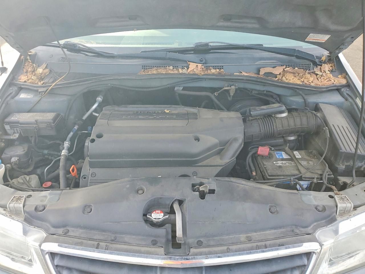 2002 Honda Odyssey ex