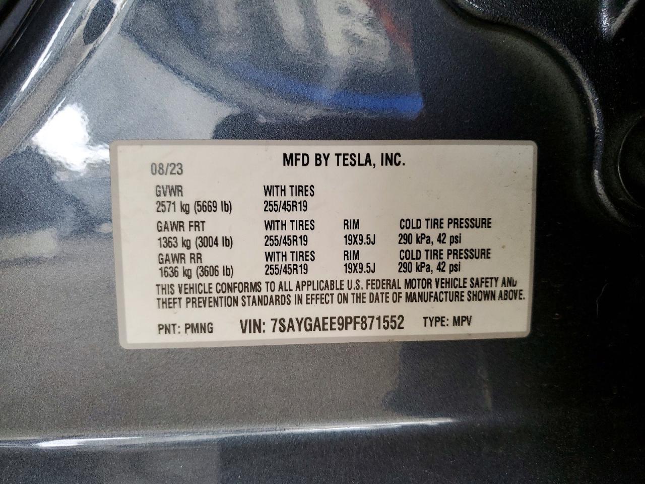 2023 Tesla Model y