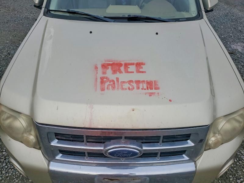 2010 Ford Escape Limited