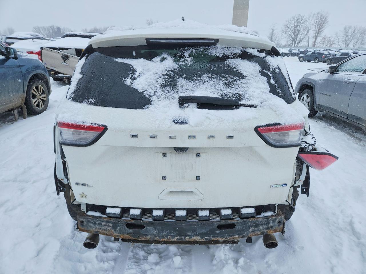 2020 Ford Escape sel