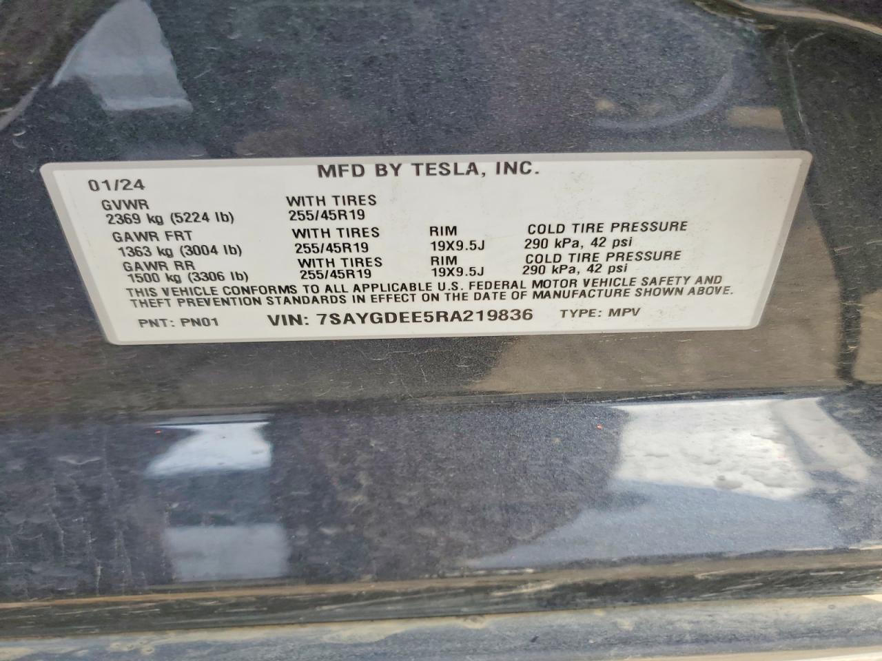 2024 Tesla Model y
