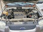 2004 Ford Escape xlt