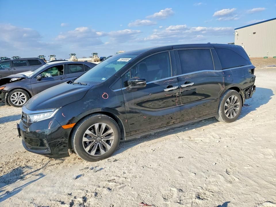 2024 Honda Odyssey exl