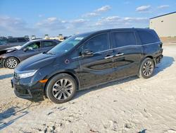 2024 Honda Odyssey exl for sale in Taylor, TX