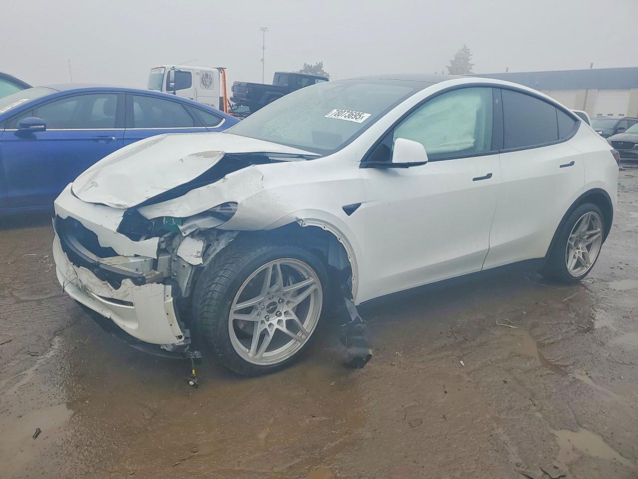2021 Tesla Model y