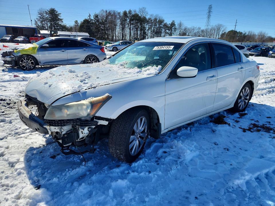 2011 Honda Accord exl