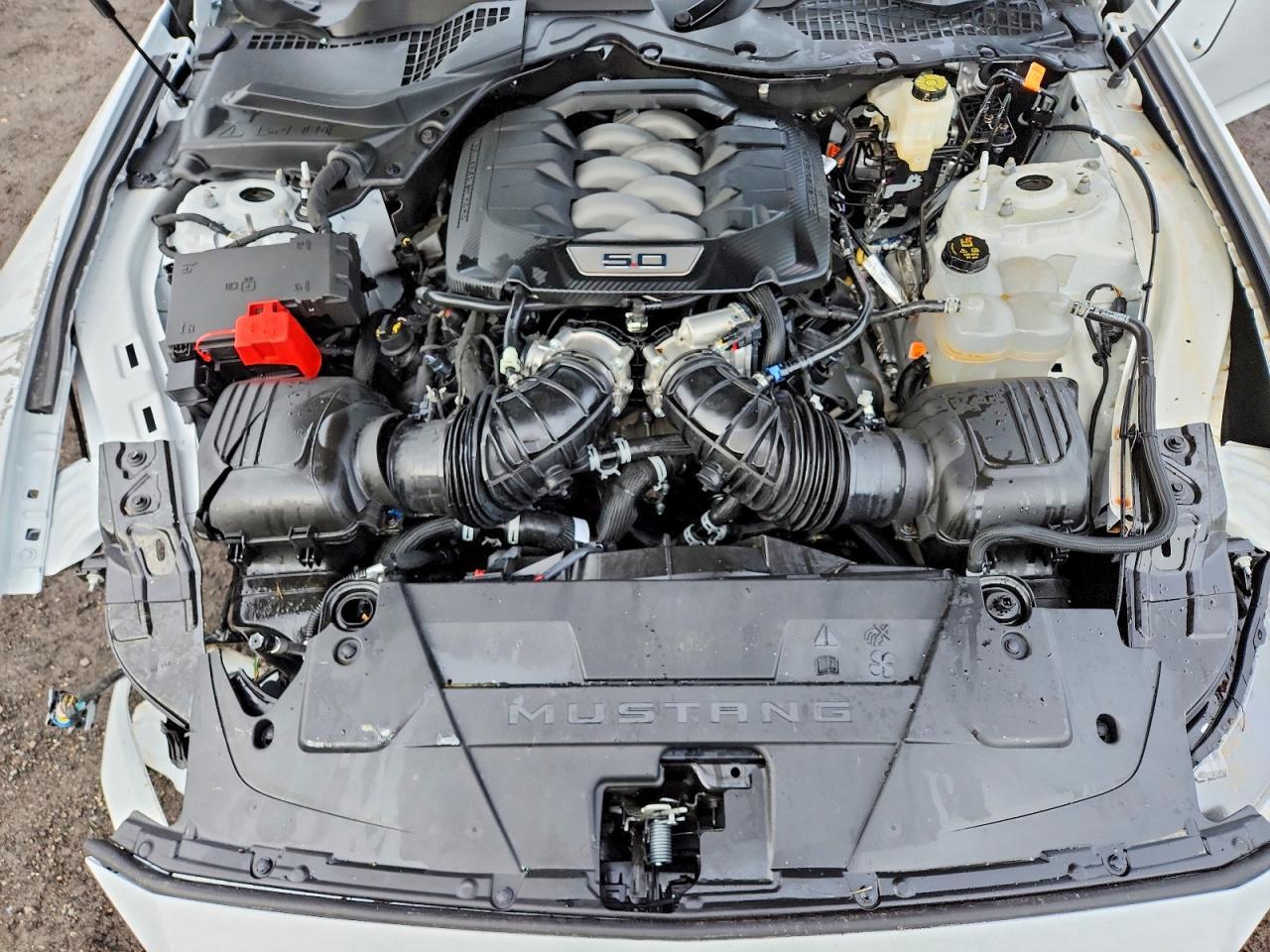 2026 Ford Mustang gt