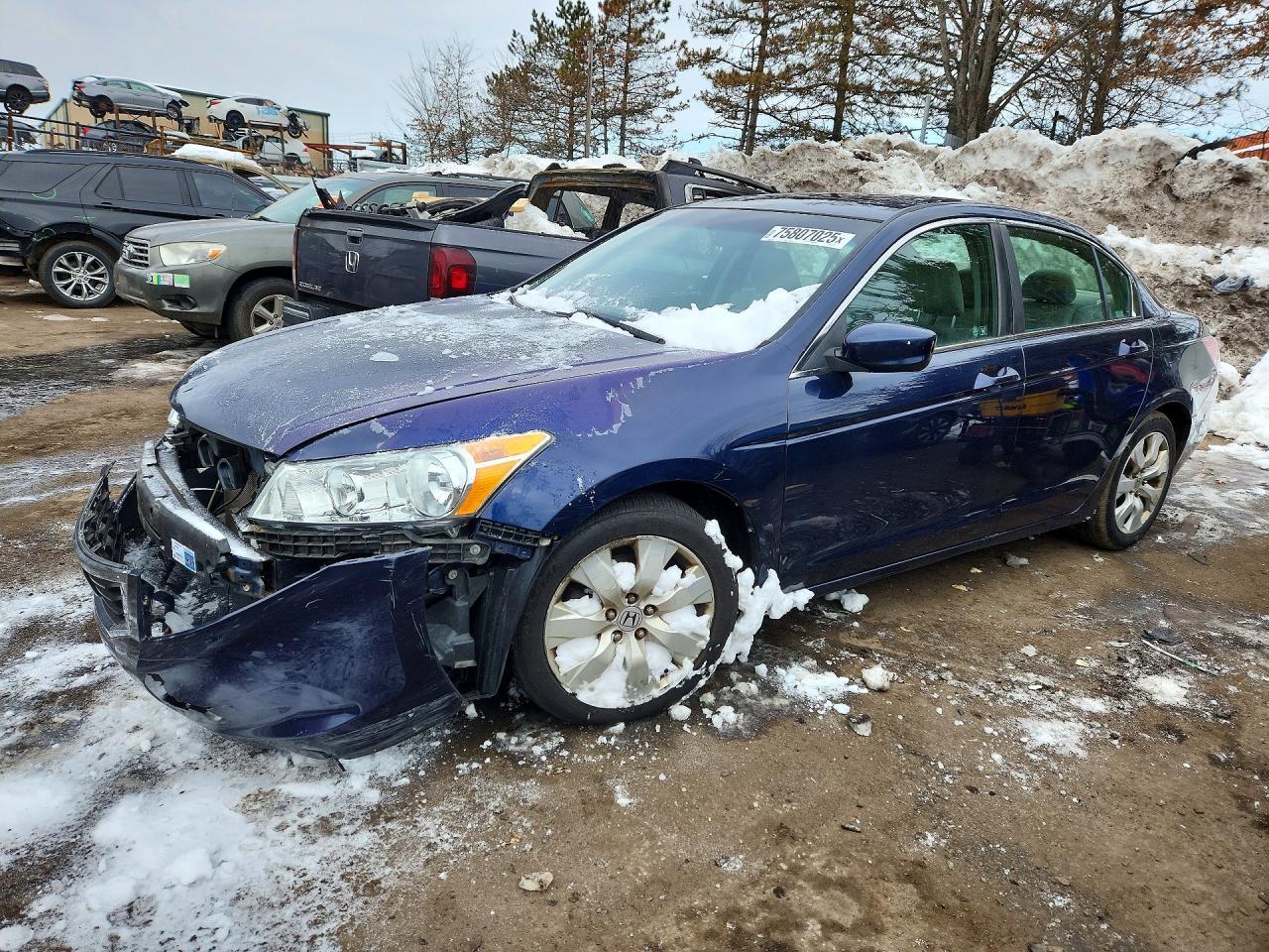 2010 Honda Accord exl