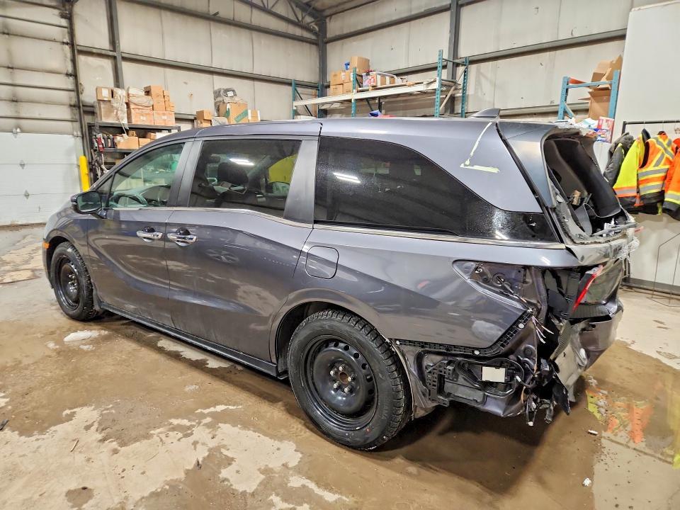 2023 Honda Odyssey exl