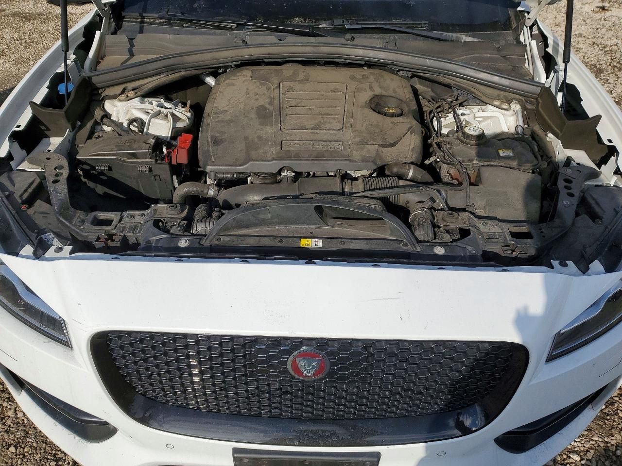 2019 Jaguar F-pace R-sport