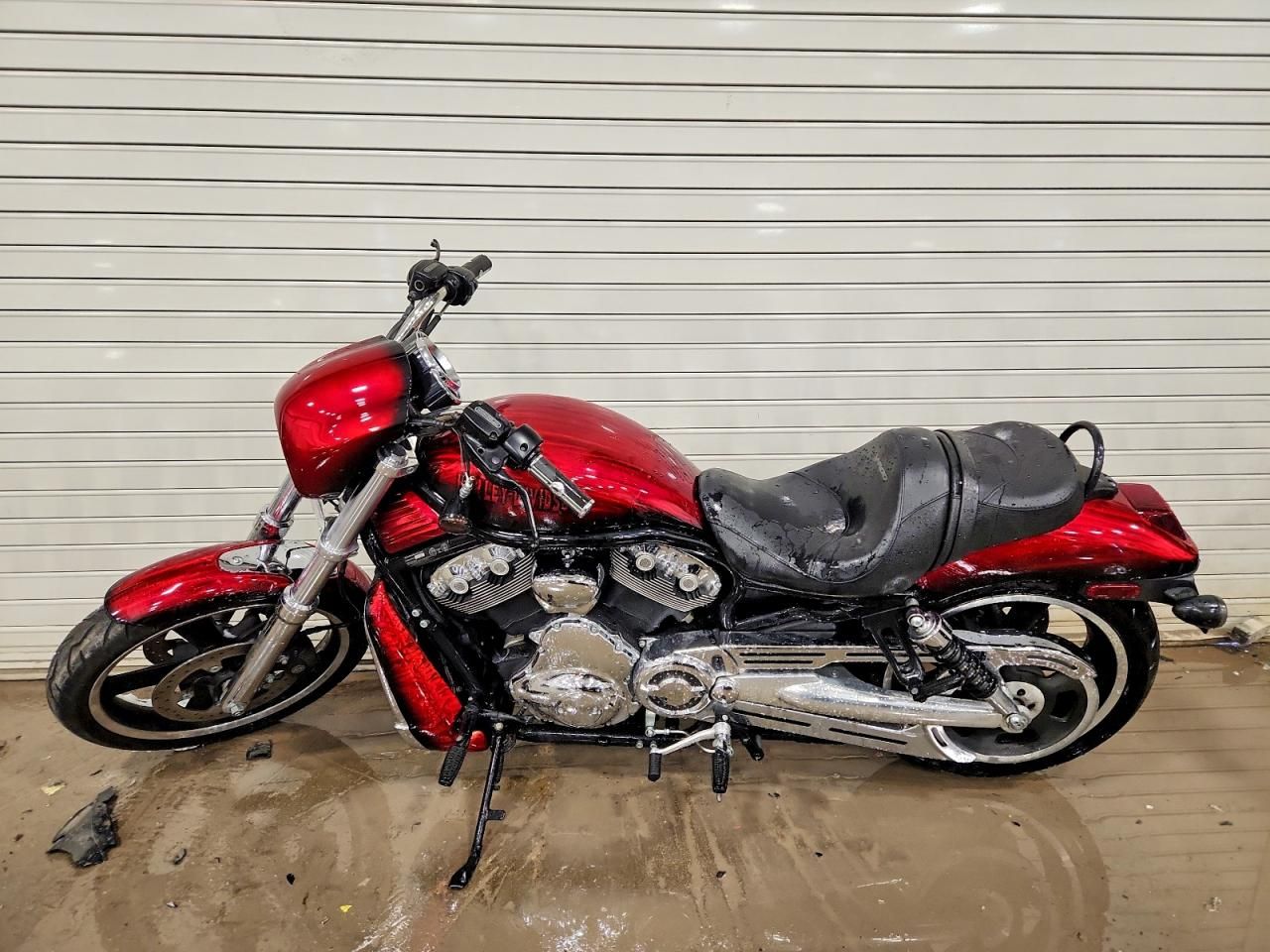 2006 Harley-Davidson Vrscd