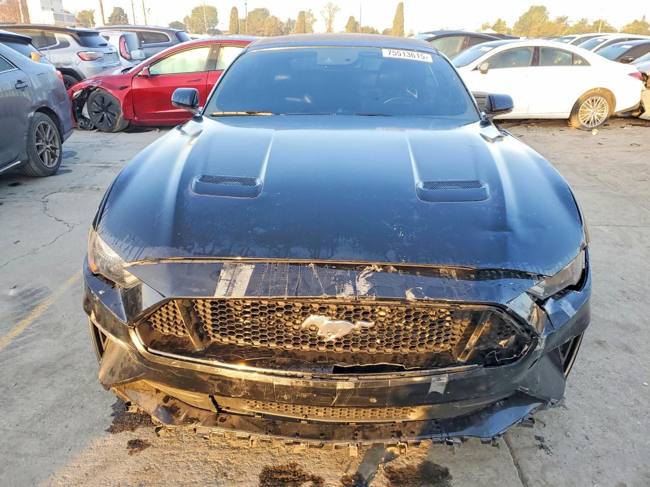 2019 Ford Mustang gt