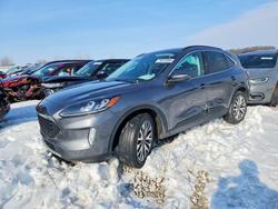 2021 Ford Escape Titanium for sale in Wayland, MI
