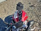 2025 Triumph Daytona 660