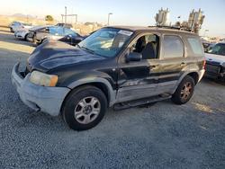 Ford salvage cars for sale: 2001 Ford Escape xlt