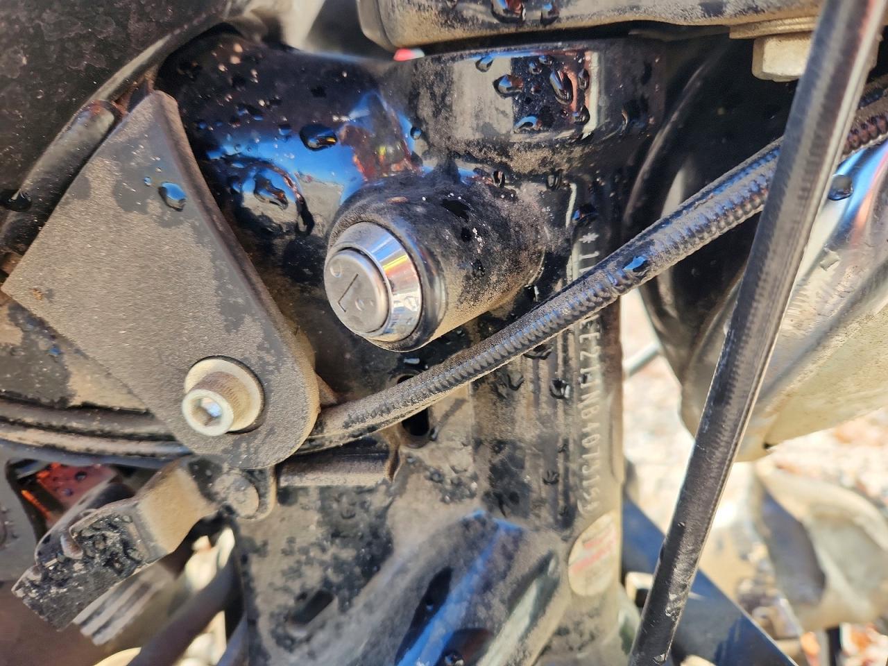 2022 Harley-Davidson XL883 N