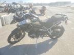 2025 Triumph Tiger 1200 Rally PRO
