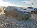 2025 Lexus Nx 250 Premium