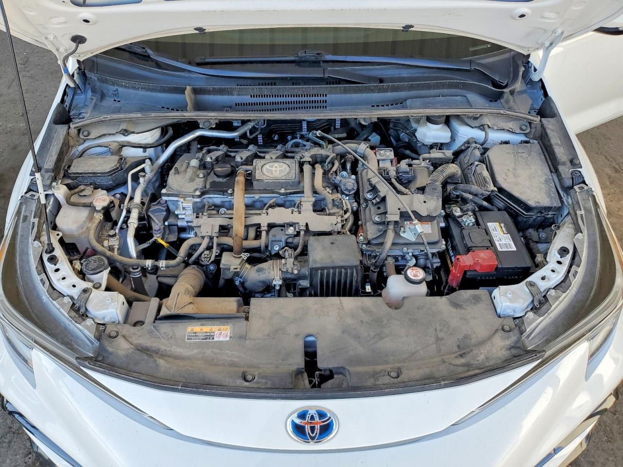 2023 Toyota Corolla le