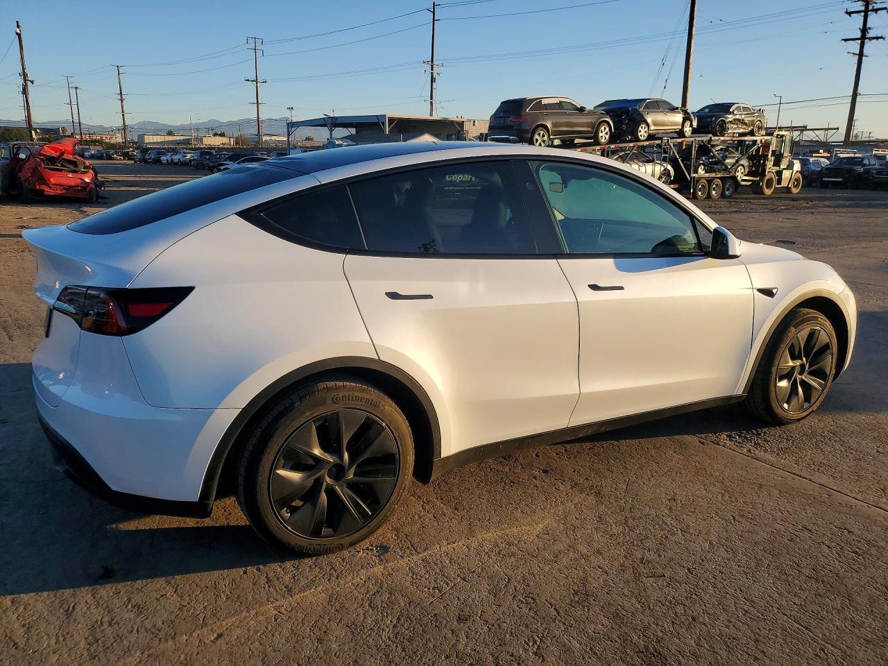 2025 Tesla Model y
