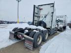 2020 Freigliner 2020 Freightliner Cascadia 126 Semi Truck