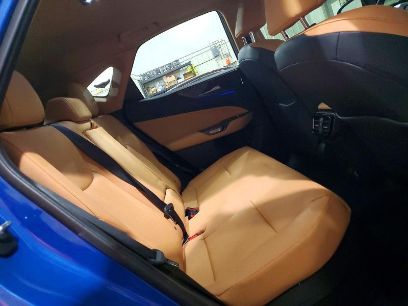 2024 Lexus NX