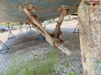 1996 Other 1996 Morgan Fishing Boat