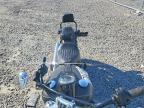 2021 Harley-Davidson Flsl