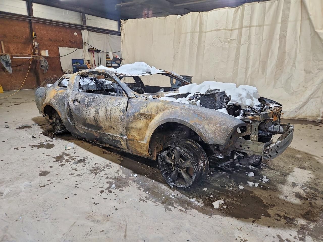 2005 Ford Mustang gt