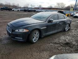 Jaguar xj salvage cars for sale: 2014 Jaguar XJ