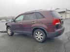 2011 KIA Sorento Base