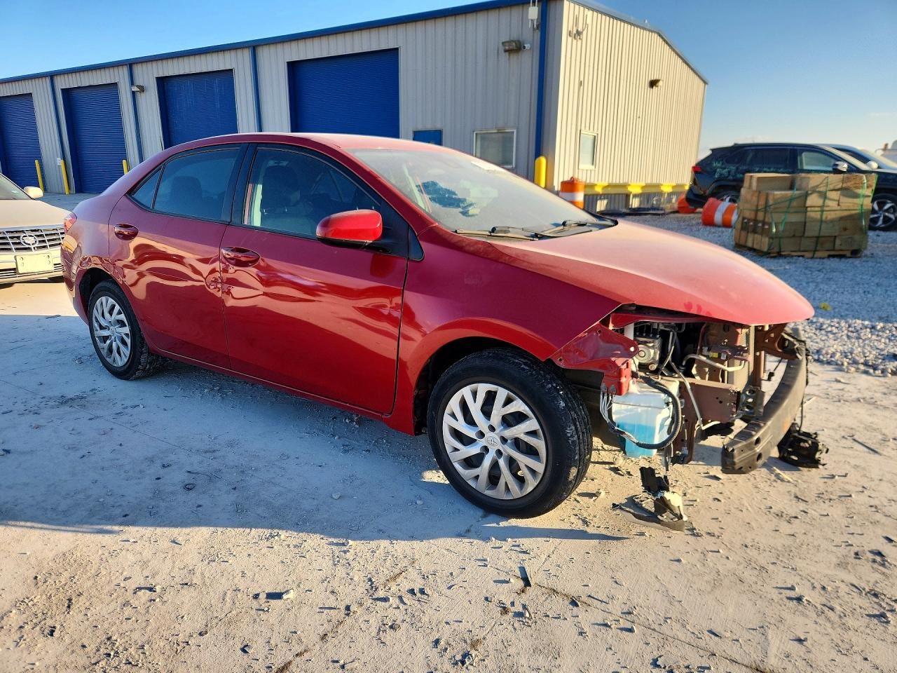 2019 Toyota Corolla l