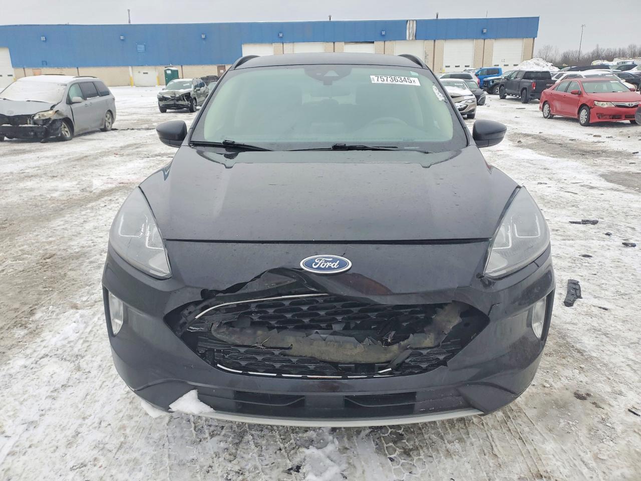 2020 Ford Escape sel