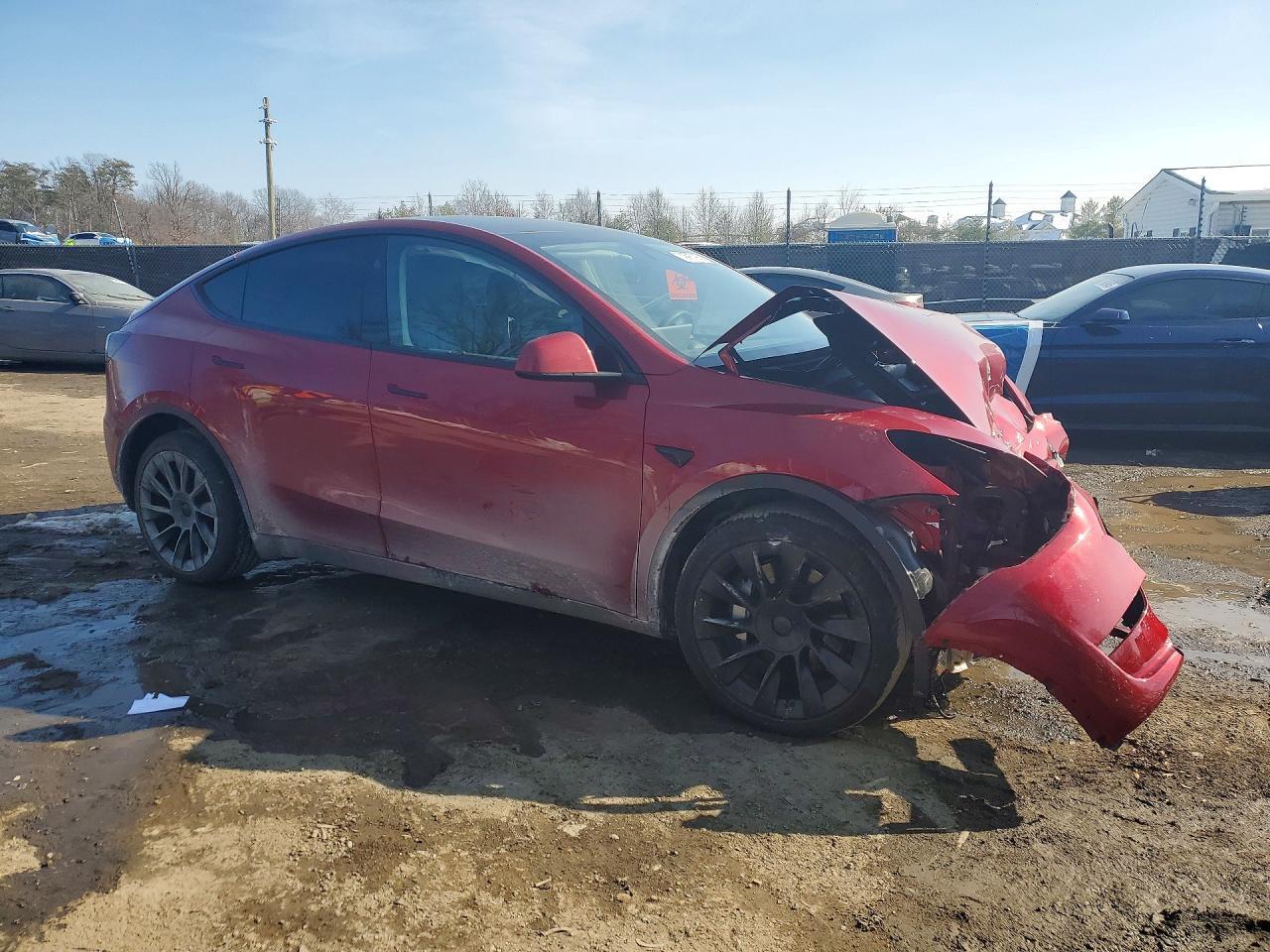 2024 Tesla Model y