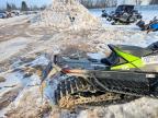 2024 Arctic Cat Catalyst 600